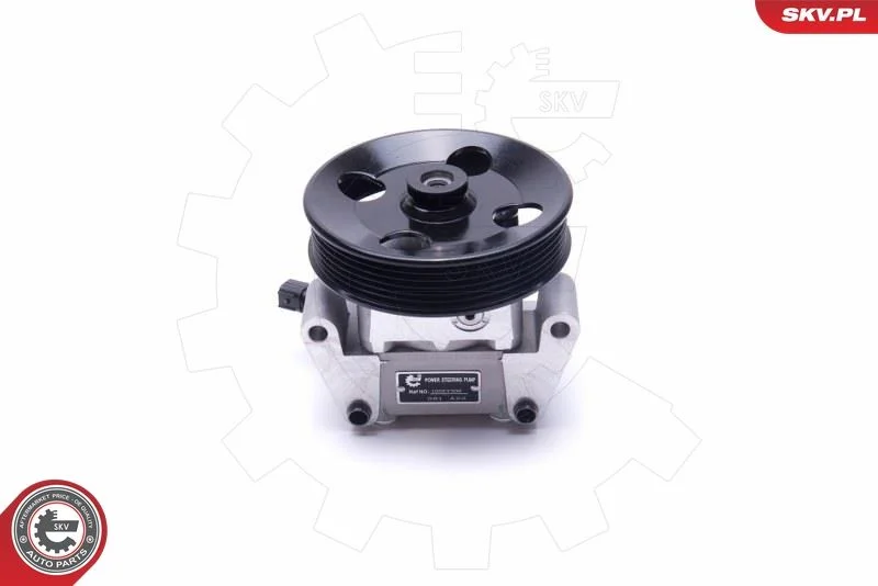 Hydraulic Pump, steering ESEN SKV 10SKV306