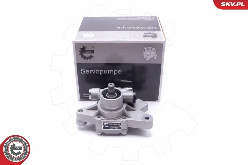 Hydraulic Pump, steering ESEN SKV 10SKV313