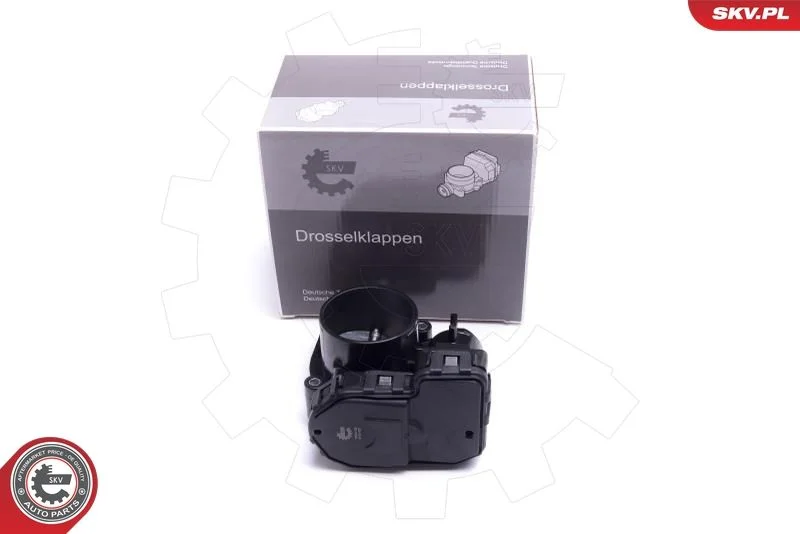 Throttle Body ESEN SKV 12SKV120