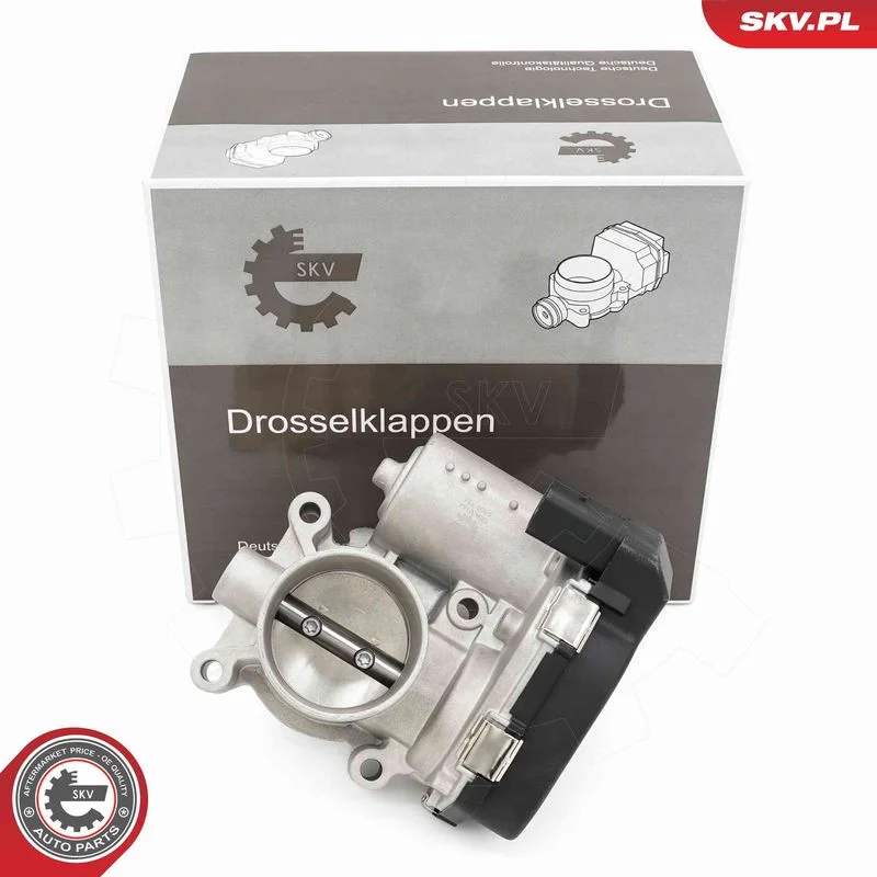 Throttle Body ESEN SKV 12SKV144