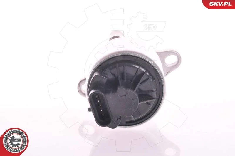 EGR Valve ESEN SKV 14SKV002
