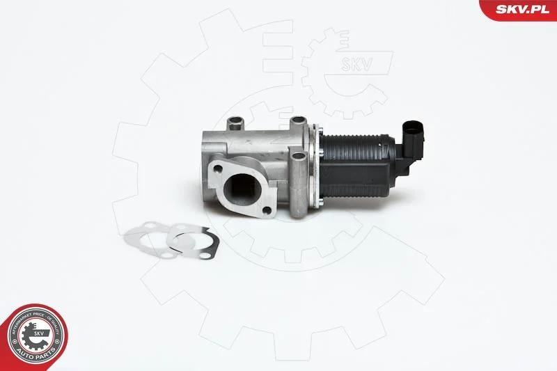 EGR ventil ESEN SKV 14SKV006