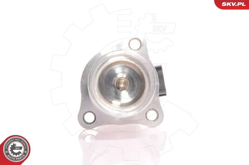 EGR ventil ESEN SKV 14SKV010