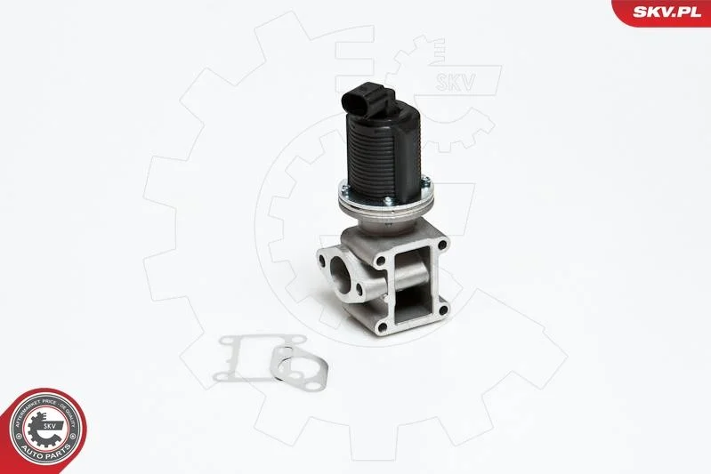 EGR ventil ESEN SKV 14SKV012