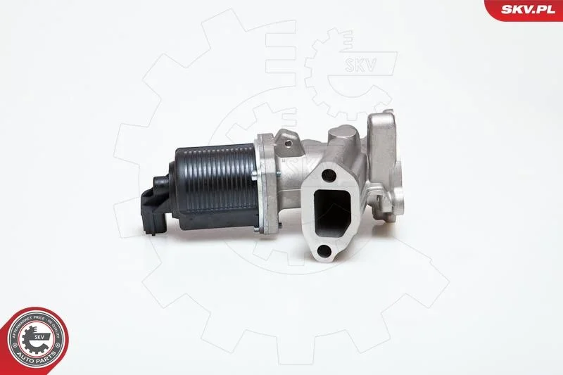 EGR ventil ESEN SKV 14SKV014