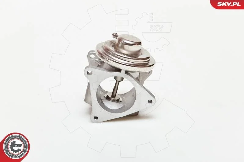EGR ventil ESEN SKV 14SKV019