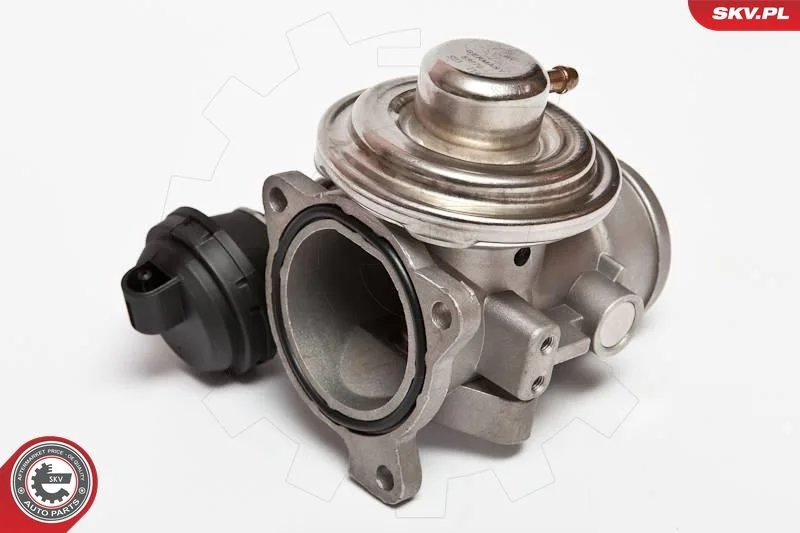 EGR Valve ESEN SKV 14SKV026