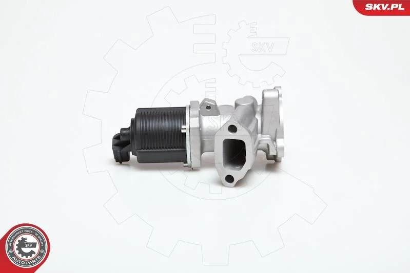 EGR ventil ESEN SKV 14SKV031