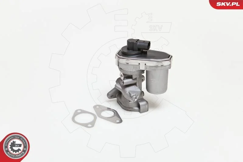 EGR ventil ESEN SKV 14SKV038