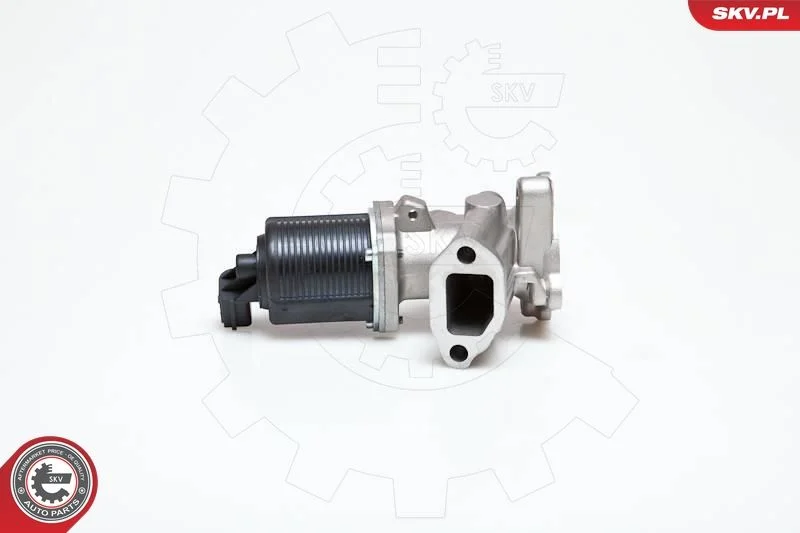 EGR ventil ESEN SKV 14SKV040