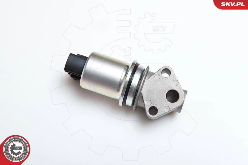 EGR ventil ESEN SKV 14SKV043