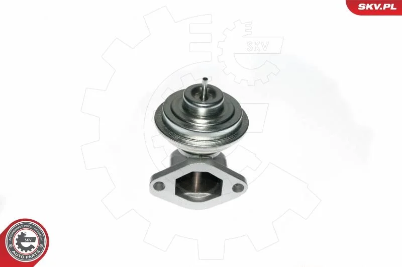 EGR ventil ESEN SKV 14SKV049