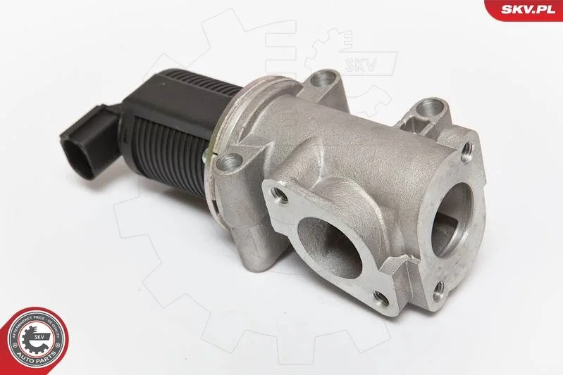 EGR ventil ESEN SKV 14SKV055