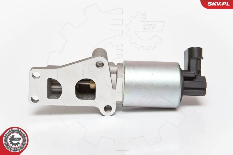 EGR Valve ESEN SKV 14SKV065