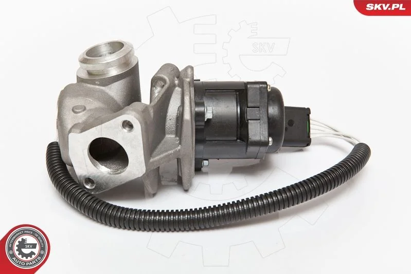 EGR ventil ESEN SKV 14SKV067