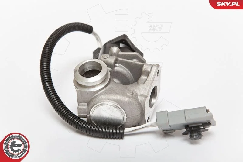 EGR ventil ESEN SKV 14SKV071