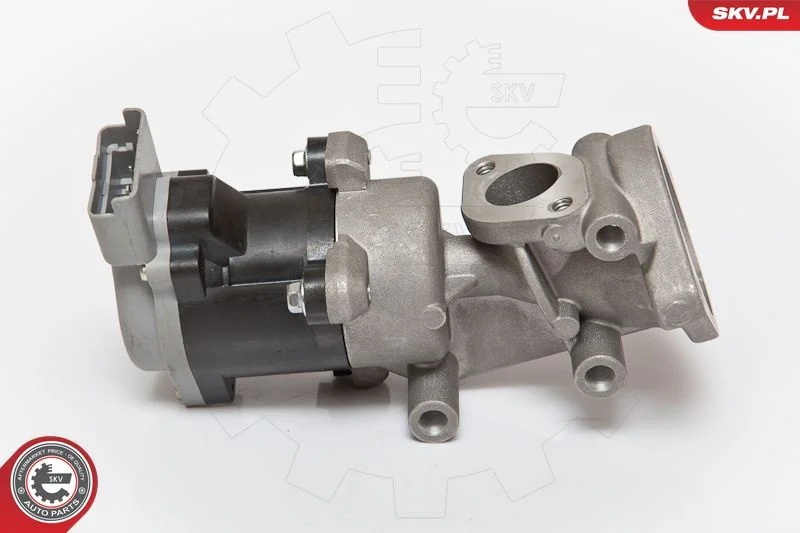 EGR ventil ESEN SKV 14SKV073