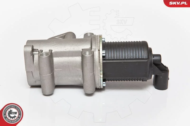 EGR ventil ESEN SKV 14SKV076