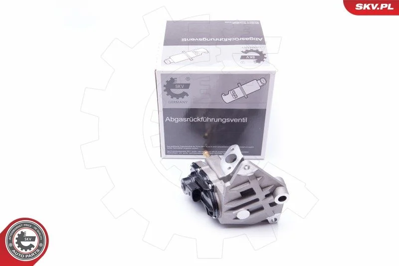 EGR ventil ESEN SKV 14SKV087