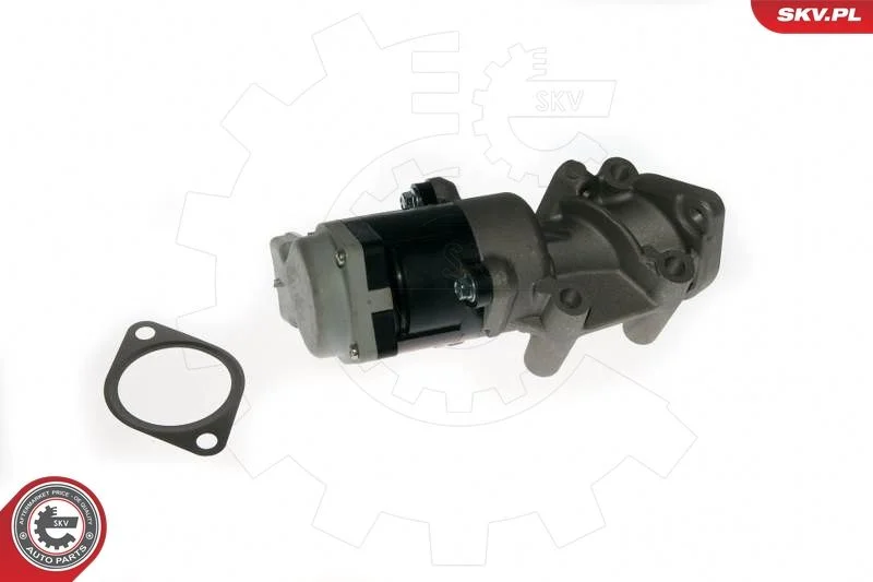 EGR Valve ESEN SKV 14SKV089