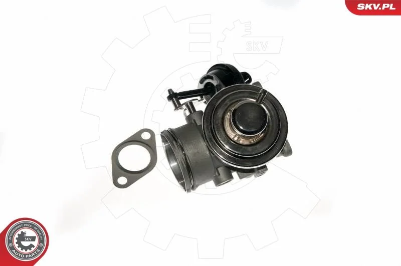 EGR ventil ESEN SKV 14SKV090