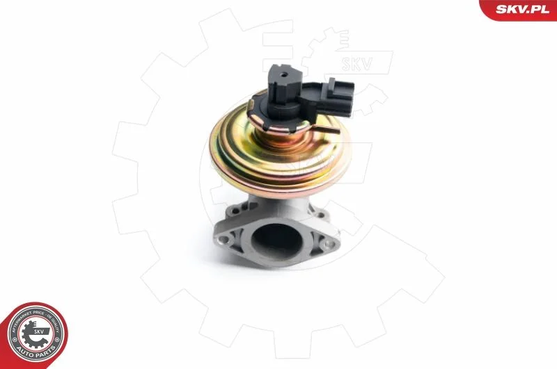 EGR ventil ESEN SKV 14SKV097