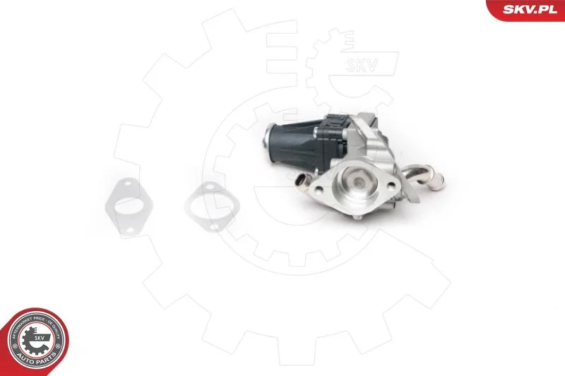 EGR ventil ESEN SKV 14SKV100