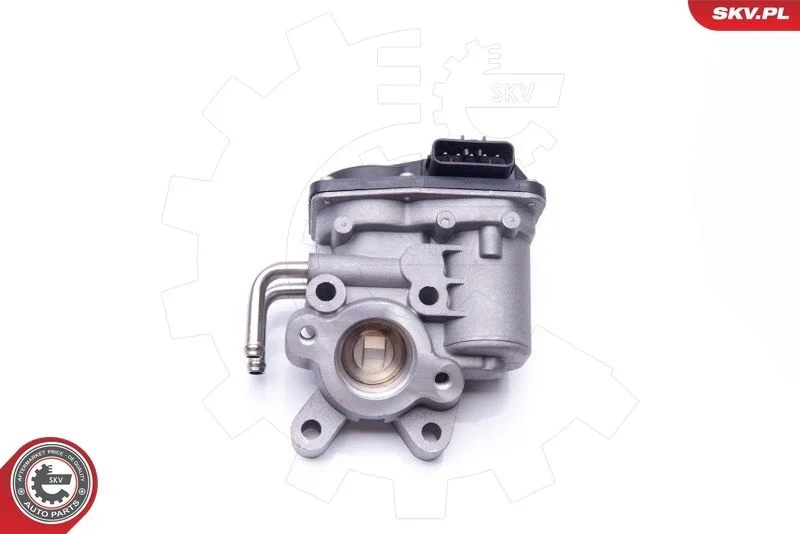 EGR ventil ESEN SKV 14SKV102