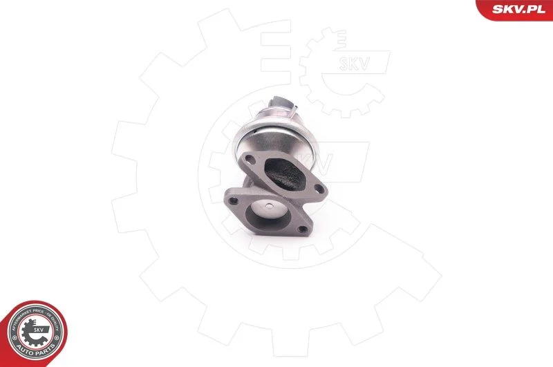 EGR ventil ESEN SKV 14SKV129