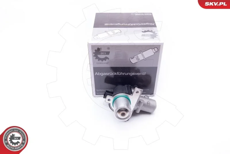 EGR ventil ESEN SKV 14SKV163