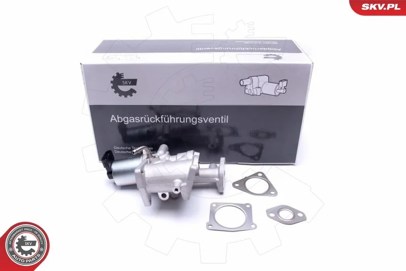 EGR ventil ESEN SKV 14SKV167