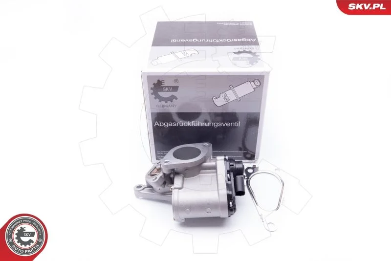EGR ventil ESEN SKV 14SKV168