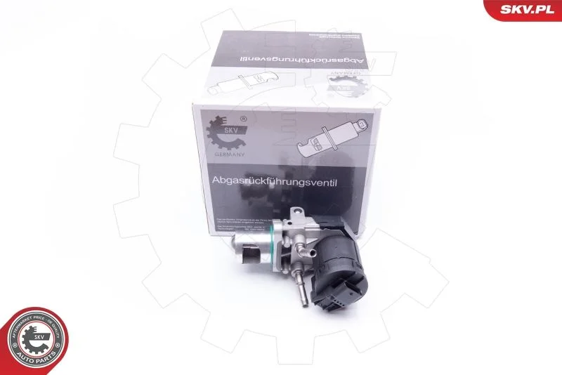 EGR ventil ESEN SKV 14SKV169
