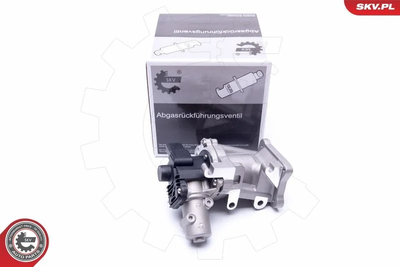 EGR ventil ESEN SKV 14SKV171