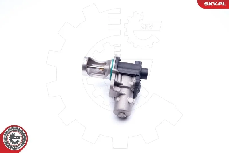 EGR ventil ESEN SKV 14SKV172