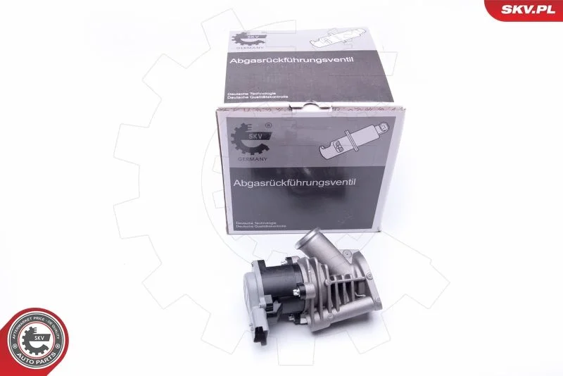 EGR ventil ESEN SKV 14SKV173