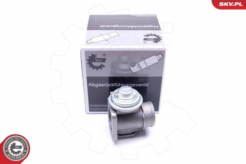 EGR ventil ESEN SKV 14SKV174