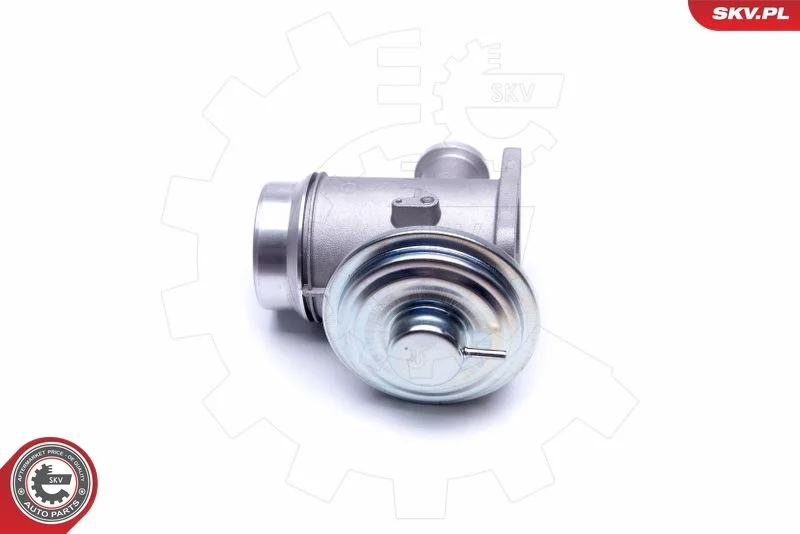 EGR ventil ESEN SKV 14SKV176