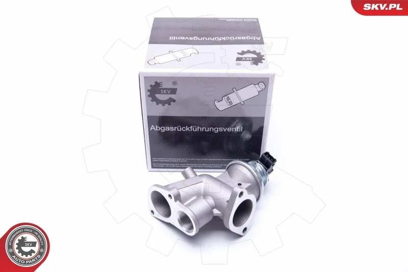 EGR ventil ESEN SKV 14SKV181