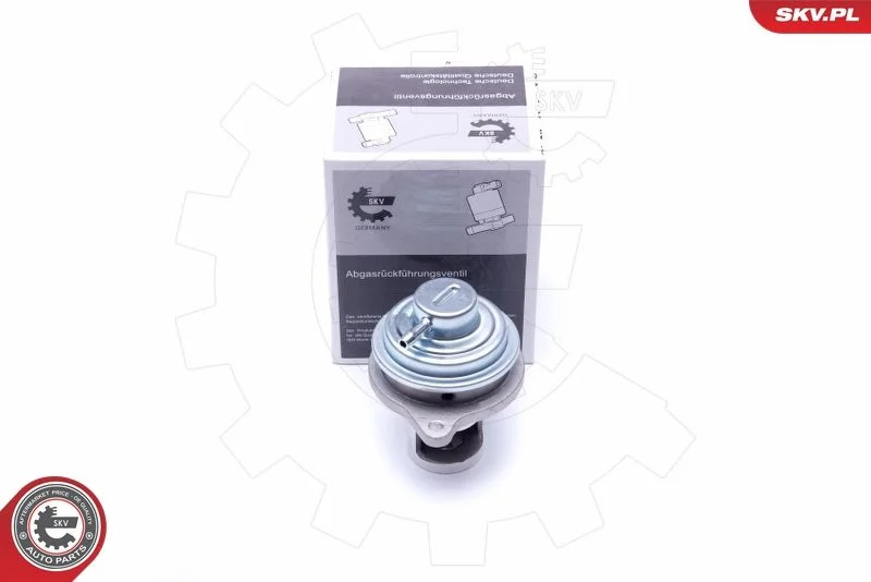 EGR Valve ESEN SKV 14SKV182