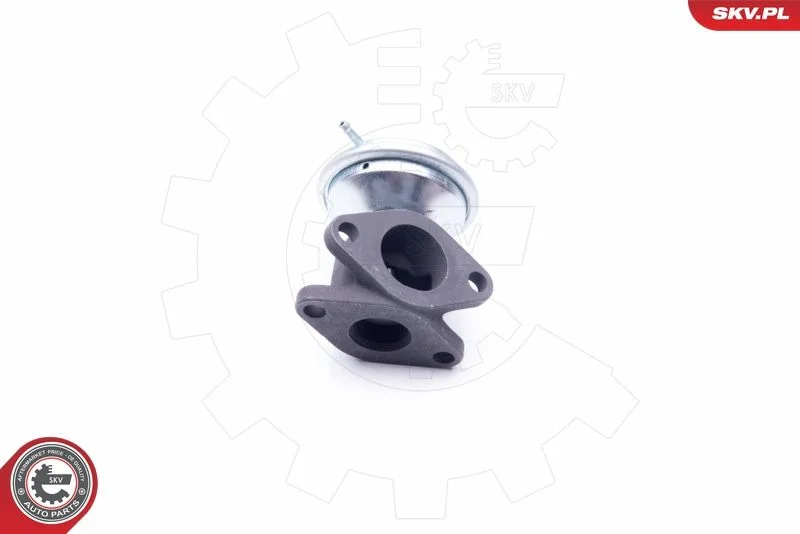 EGR ventil ESEN SKV 14SKV183