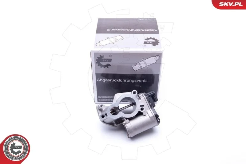 EGR ventil ESEN SKV 14SKV184