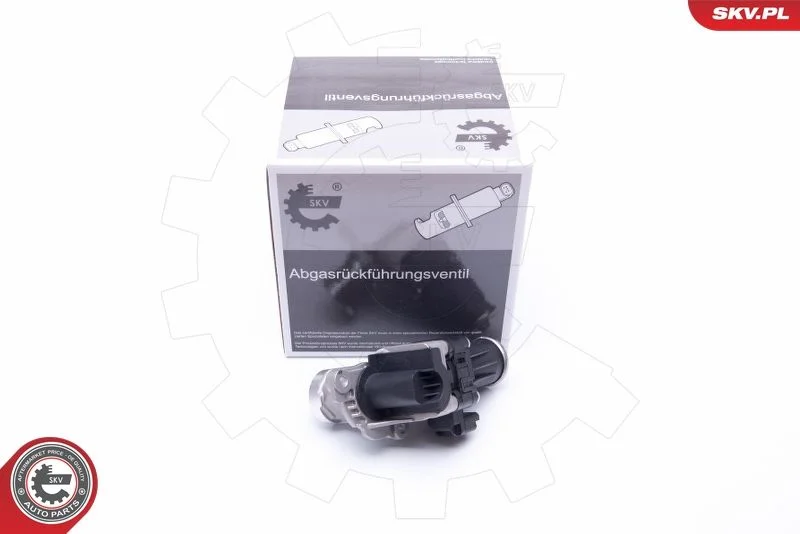 EGR ventil ESEN SKV 14SKV185