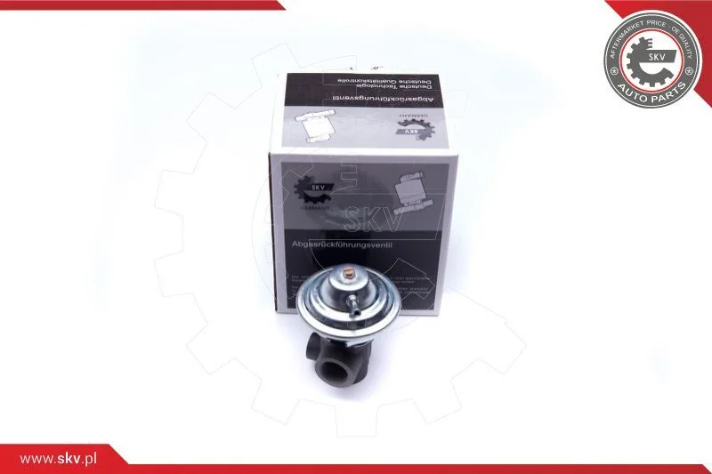 EGR Valve ESEN SKV 14SKV187