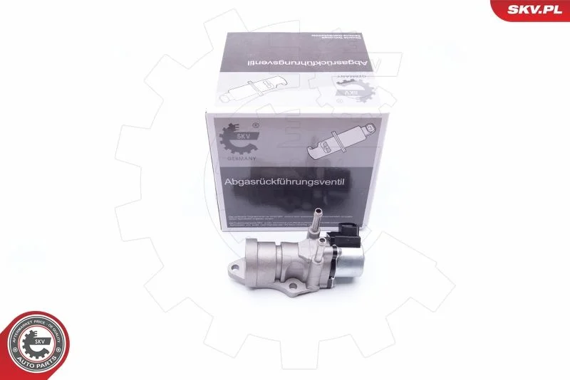 EGR Valve ESEN SKV 14SKV188
