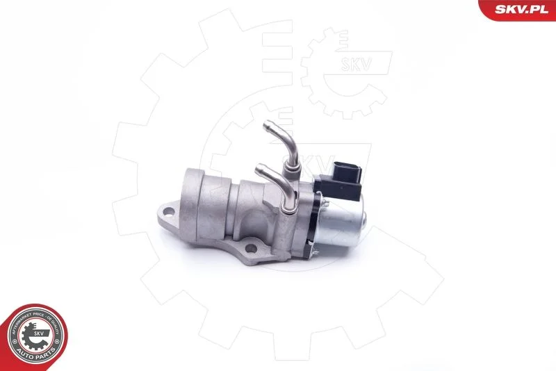 EGR ventil ESEN SKV 14SKV190
