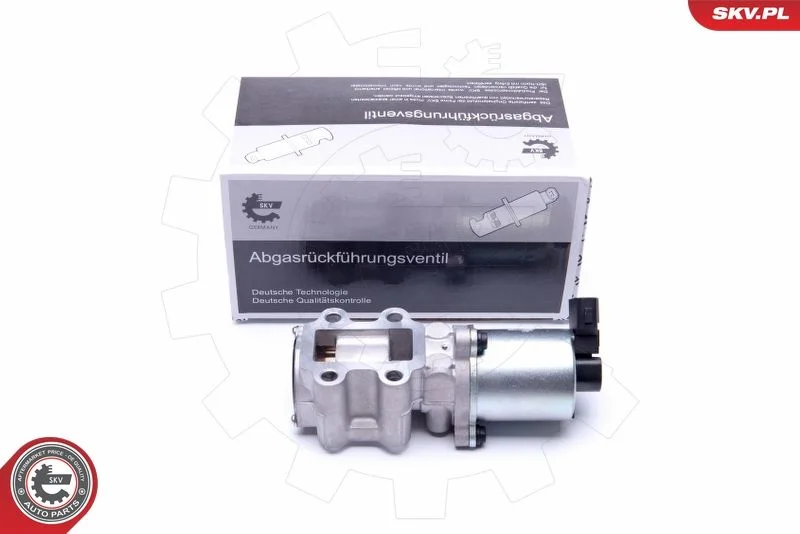 EGR ventil ESEN SKV 14SKV200