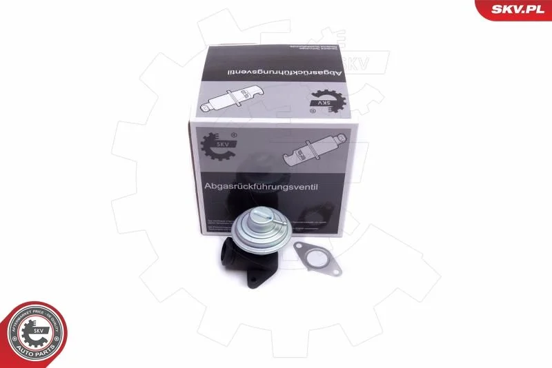 EGR Valve ESEN SKV 14SKV205