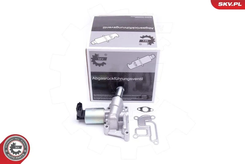 EGR Valve ESEN SKV 14SKV207