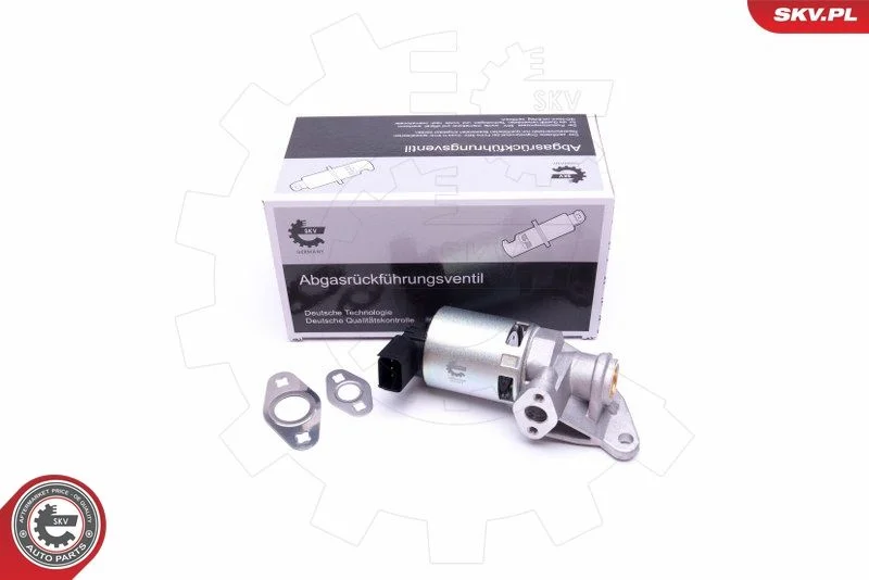 EGR Valve ESEN SKV 14SKV208